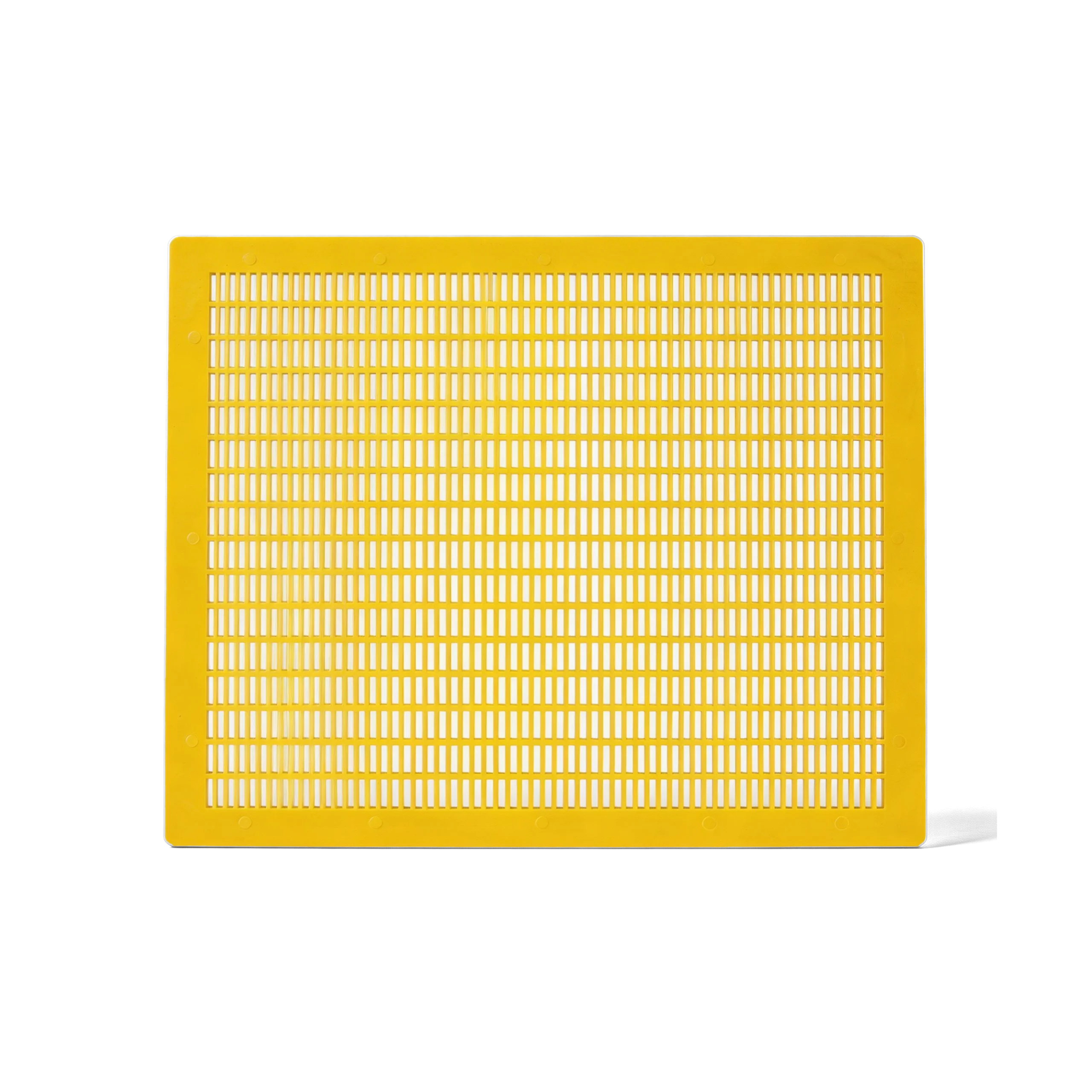 Grille à reine en plastique