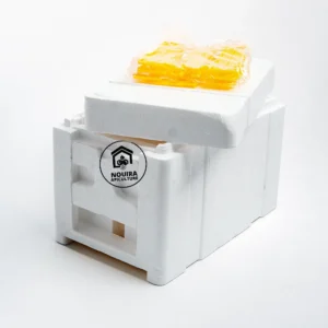 Nucléi en polystyrène