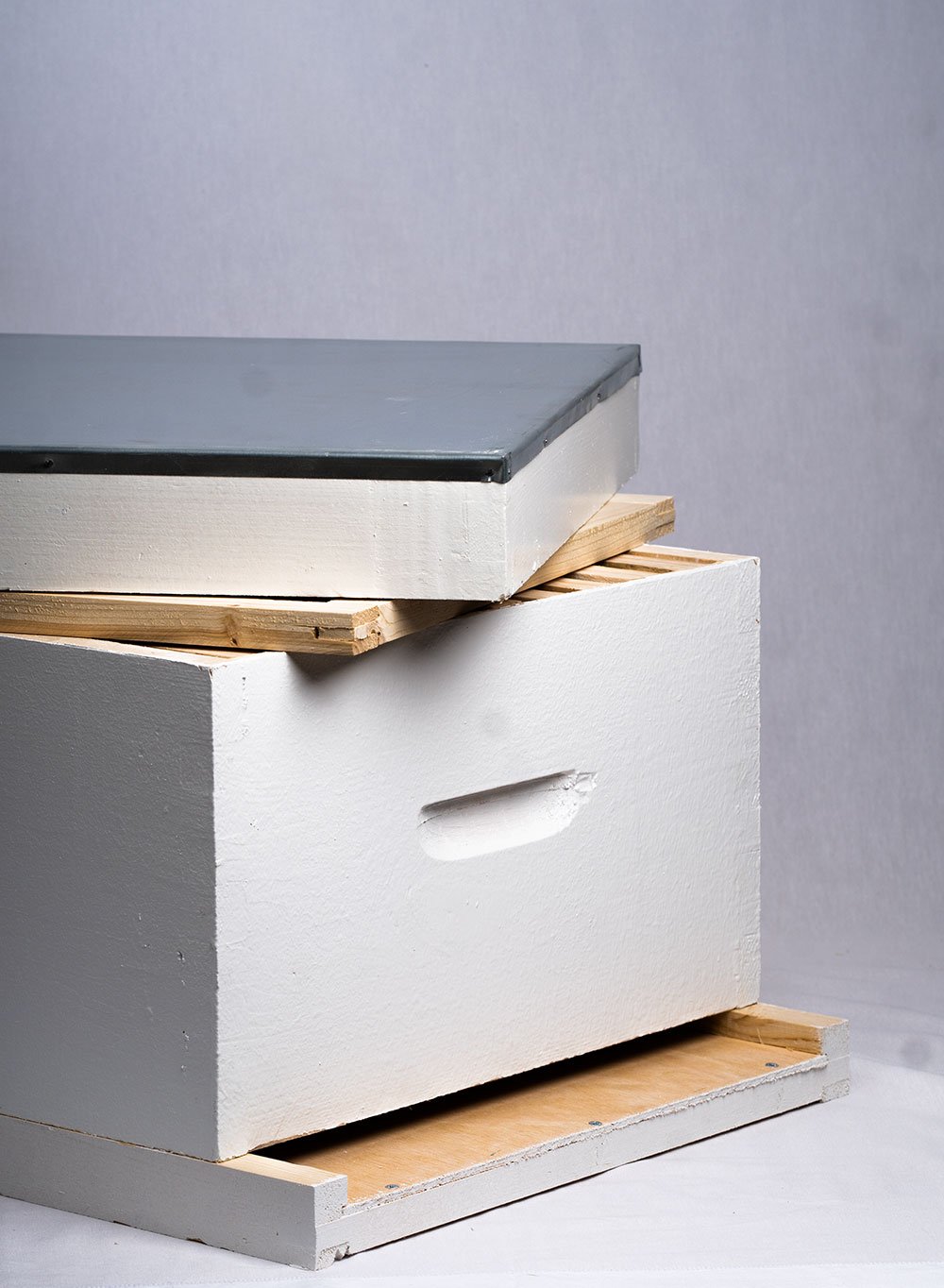 Ruches complètes – Image 2