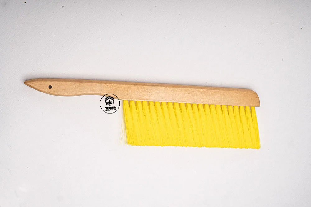 Brosse en bois