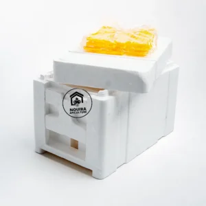 Nucléi en polystyrène