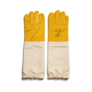 Gants Importés